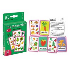 Умные игры с картами. Что где растёт? Игра находилка АЙРИС пресс