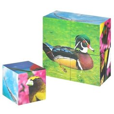 Кубики (4 куб) "Птички Гелий