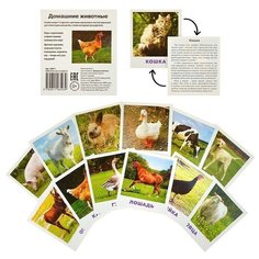 Умный малыш. Домашние животные Ходюшина Н. П. АЙРИС пресс