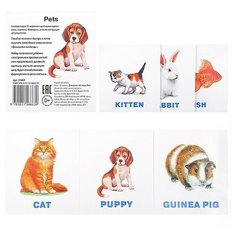 Умный малыш. ENGLISH. Домашние питомцы. Набор карточек для детей. АЙРИС пресс