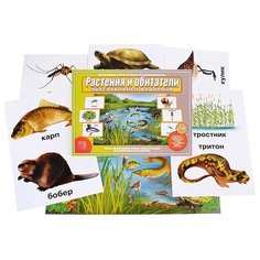 Настольная игра "Растения и обитатели пресноводных водоемов Весна Дизайн