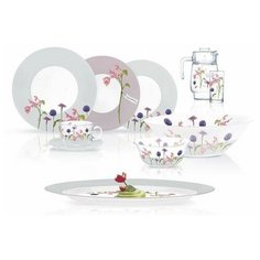Столовый сервиз ROZANA BEGONIA на 6 пер. из 46 пр. N2143 Luminarc