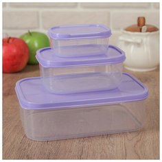 Набор контейнеров пищевых Доляна прямоугольные, 3 шт: 150 и 500 мл, 1,2 л, сиреневый
