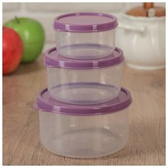 Набор контейнеров пищевых Доляна круглые, 3 шт: 150, 300, 500 мл, фиолетовый