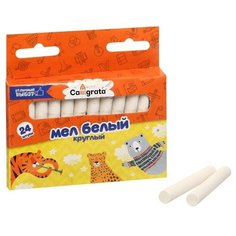 Calligrata Мел школьный белый, набор 24 штуки круглый беспыльный, в картонной коробке