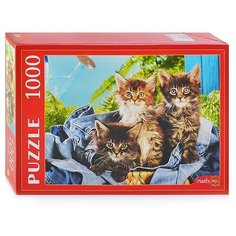 Пазл Рыжий кот Котята в корзине (КБ1000-7882), 1000 дет.