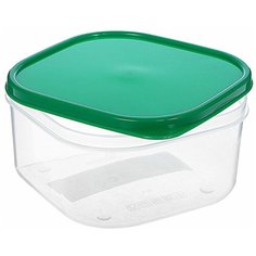 Доляна Контейнер 0.4л, 10.5x10.5 см, зелeный