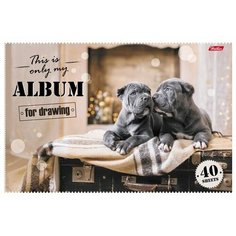 Альбом для рисования Hatber Ассорти 29.7 х 21 см (A4), 40 л.