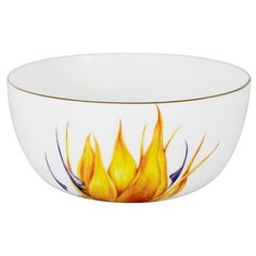 Салатник Strelitzia 14 см 750 мл в подарочной упаковке, костяной фарфор, Anna Lafarg Emily, AL-606S-E11