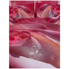 "Постельное белье "Волшебные сны" семейный размер, сатин