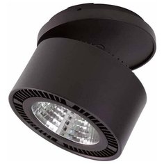 Lightstar Встраиваемый спот Lightstar Forte Inca 214847