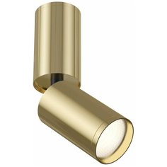 Maytoni Спот Maytoni Focus S C051CL-01G