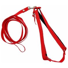 Комплект Zooexpress поводок+шлейка капроновый с фетром красный до 45 см для кошек (45 см, Красный)