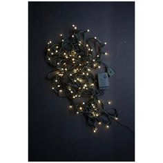 Гирлянда 100 LED диодов тёпло-белого цвета, зелёный провод, расстояние между диодами 8 см, длина провода 9 м, IP 20 China Dans International