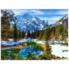 Алмазная мозаика 40х50см (класс.) Заснеженный лес и горы (с подрамником и полным заполнением) Рыжий кот