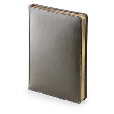 Ежедневник Альт датированный 2022 год, А5 (145 х 206 мм), "SIDNEY NEBRASKA" серый 168 л., Арт. 3-125/09