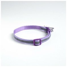 Ошейник светоотражающий Пушистое счастье с адресником, 30*1 см, капрон, цвет фиолетовый