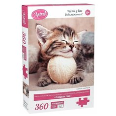 Пазлы 360эл Сладкие сны Origami