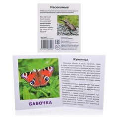 Умный малыш. Насекомые. Набор карточек для детей. Ходюшина Н. П. АЙРИС пресс