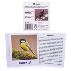 Умный малыш. Птицы. Набор карточек для детей. Ходюшина Н. П. АЙРИС пресс