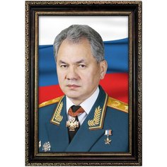 Портрет Шойгу С.К., формат А-4 (210x297 мм), рамка багетная темно-коричневая Mega Art