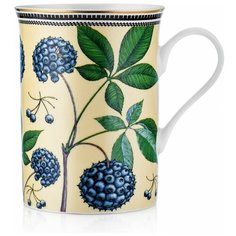 Кружка подарочная RUBUS, 300мл Walmer