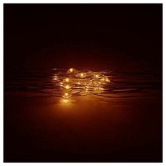 HOROZ Гирлянда 10М 4W IP68 3000K 080-001-0004 Horoz