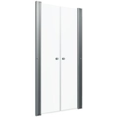 Душевая дверь Triton Дабл 100x185 Тритон