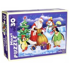 Пазл Рыжий кот Maxi Дед Мороз привез подарки (ПМ-7444), 30 дет.