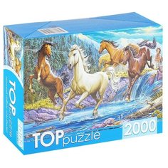 Пазлы 2000 TOPpuzzle "Ночной табун лошадей Рыжий кот