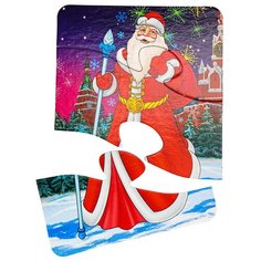 Развивающие пазлы "В гостях у ёлочки Bright Kids