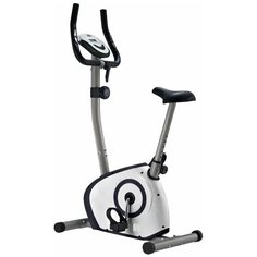 Велотренажер Royal Fitness RFIB-13