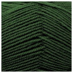 Пряжа из Троицка Подмосковная (50%шерсть, 50%акрил) (1383 морские водоросли) 10 мотков Троицкая камвольная фабрика