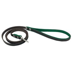 Поводок Suomi Line для собак, коричневый/зеленый, 10 мм/120 cм Zo Oexpress