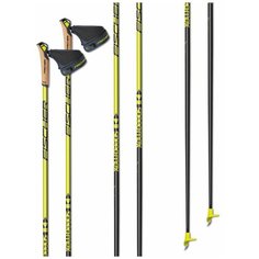 Палки лыжные FISCHER SPEEDMAX