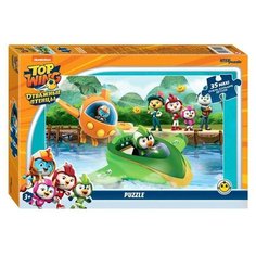 Макси- пазл «Отважные птенцы», 35 элементов Step Puzzle