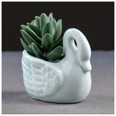 Кашпо керамическое "Лебеди" 9*5*7см микс Take It Easy