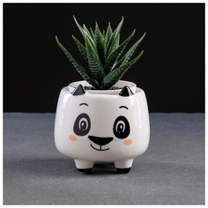 Кашпо керамическое "Панда" 8*8*8см Take It Easy