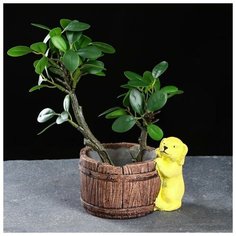 Кашпо керамическое "Щенок у бочонка" 12*10*9см Take It Easy