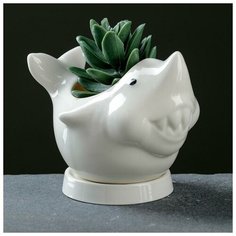 Кашпо фигурное "Акула" белое 11,5*8,5*9см Take It Easy