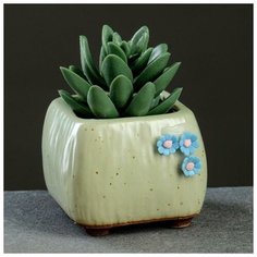 Кашпо керамическое "Куб с цветами" зеленое, 6*5см Take It Easy