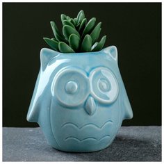 Кашпо фигурное "Совенок" голубое 10,5*9*10см Take It Easy
