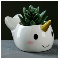 Кашпо фигурное "Единорог" 13*8*7см Take It Easy