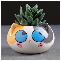 Кашпо керамическое "Котенок" 9*6см микс Take It Easy