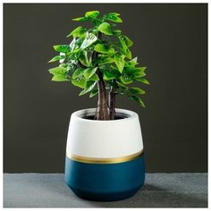 Кашпо керамическое "Бочонок", двухцветное, микс 11*10см Take It Easy