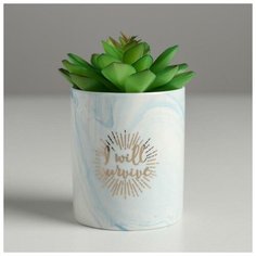 Керамическое кашпо с тиснением «Я выживу», 8 х 9,5 см Дарите счастье