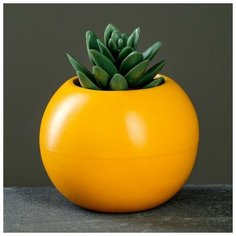 Кашпо керамическое "Апельсин" 11*9см, микс Take It Easy