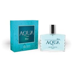 Туалетная вода мужская Aqua Blue, 100 мл Today Parfum