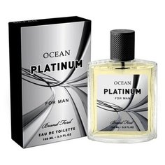 Туалетная вода мужская Ocean Platinum, 100 мл Today Parfum