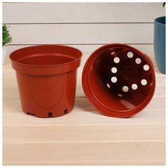 Горшок для рассады, 3 л, d = 19 см, h = 15 см, терракотовый, Greengo